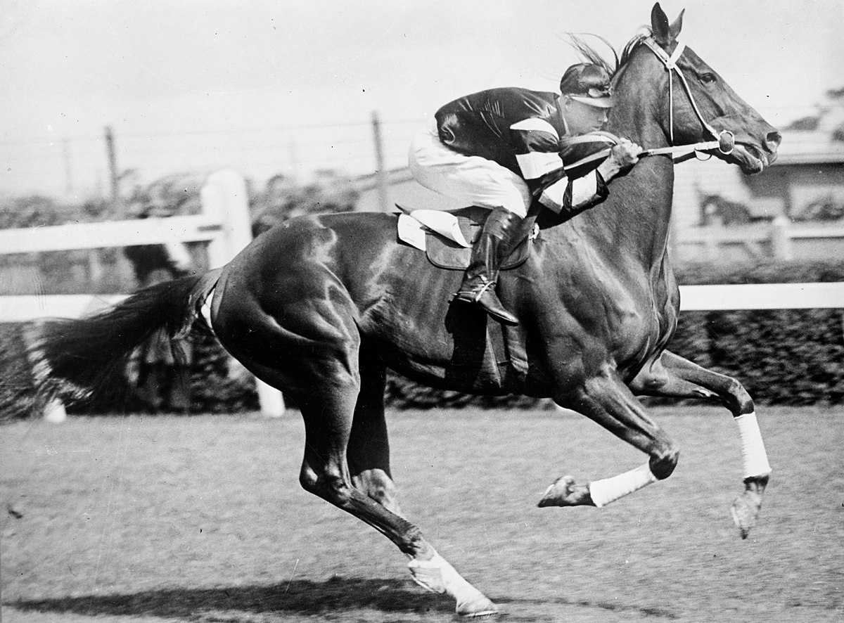 The real Phar Lap was a beast in action under jockey Jim Pike. (C.D. Pratt photo)