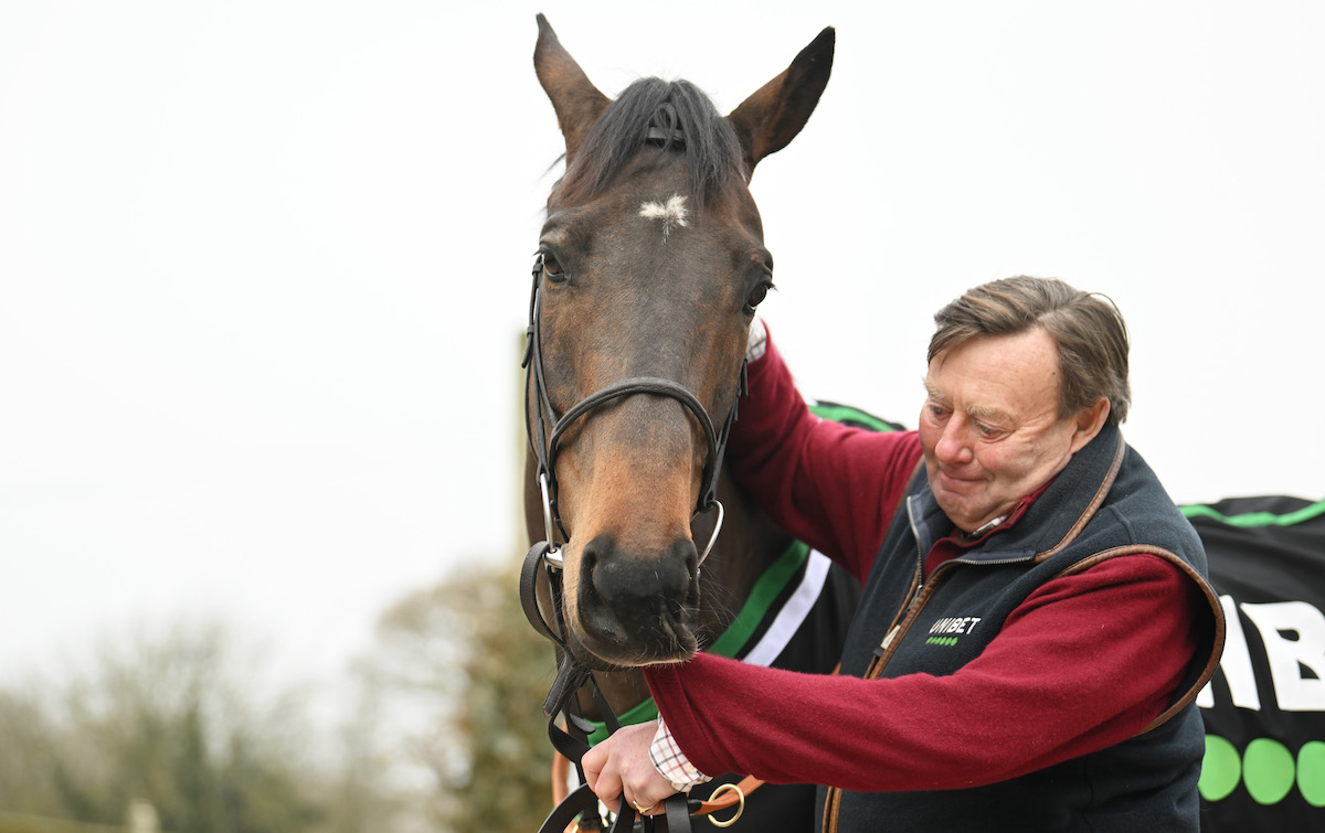 Final flight: Constitution Hill (Nico de Boinville) en route to a famous victory in the Champion Hurdle. Photo: Francesca Altoft / focusonracing.com