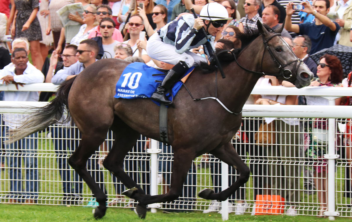 Alpha Centauri and Colm O’Donoghue pictured winning the Prix Jacques le Marois in the Niarchos silks in August 2018. Photo: dyga / focusonracing.com
