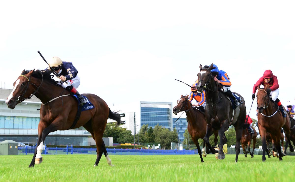 G1 winner Champers Elysees was a €12,500 foal at the Tattersalls Ireland Sapphire Sale. Photo: healy / focusonracing.com