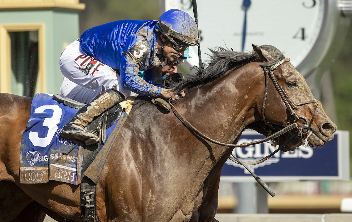 Emotional success: Cody’s Wish (Junior Alvarado) edges out National Treasure to complete back-to-back victories in the Breeders’ Cup Dirt Mile. Photo: Benoit