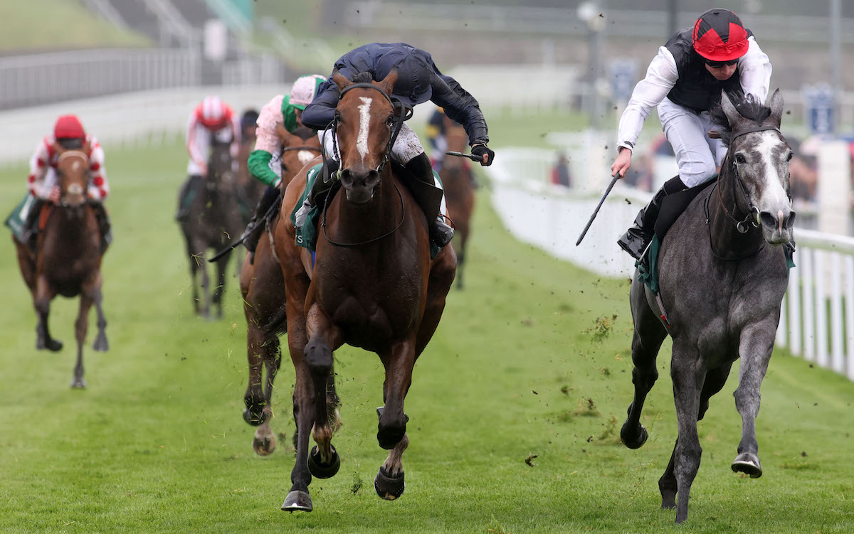 Thoughts Of June (right): Cheshire Oaks winner is catalogued in-foal to No Nay Never. Photo: Dan Abraham / focusonracing.com