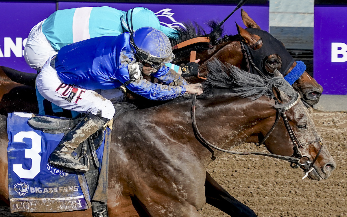 Pipped at the post: Bob Baffert-trained National Treasure (far side) loses on the nod to Cody’s Wish in the Breeders’ Cup Dirt Mile. Photo: Johnny Voodoo / Eclipse Sportswire / Breeders Cup