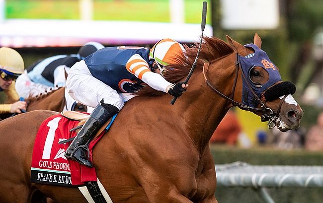 Valiant effort: Californian-based Gold Phoenix outran 52-1 odds to claim fourth in the Breeders’ Cup Turf. Photo: Benoit