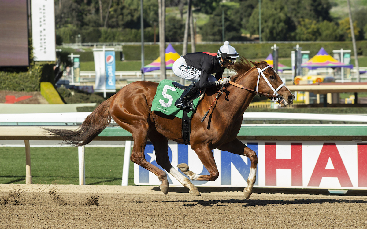 The Chosen Vron: eight straight wins before coming fifth in Breeders’ Cup Sprint. Photo: Benoit