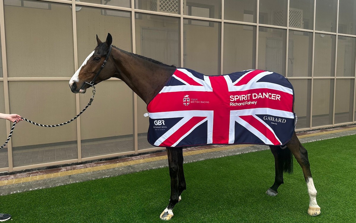 Great British Racing International: Spirit Dancer flew the flag in Bahrain. Photo: GBRI