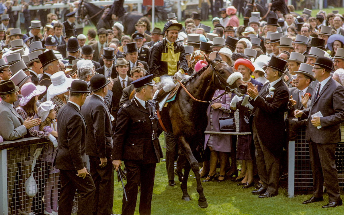Mill Reef: the great 1971 Derby winner was a priceless gift to the National Stud from philanthropic owner-breeder Paul Mellon. Photo: Mark Cranham / focusonracing.com
