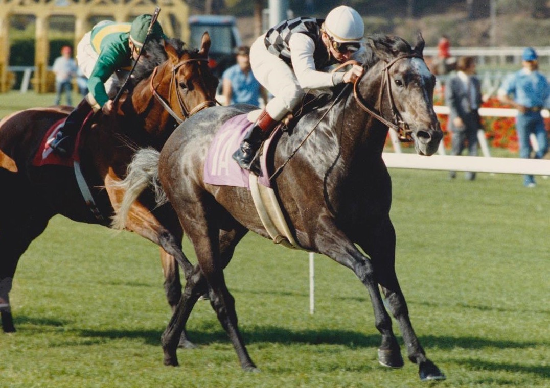 Hollywood Park was the scene of Golden Pheasant's first US stakes score in the John Henry Handicap. (Photo courtesy of Hollywood Park, provided by Edward Kip Hannan & Roberta Weiser)