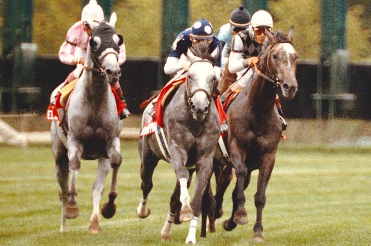 Golden Pheasant (right) in hot pursuit of With Approval as they turn for home in the 1990 Arlington Million. (Steve Stidham photo, courtesy of Hollywood Park, provided by Edward Kip Hannan & Roberta Weiser)