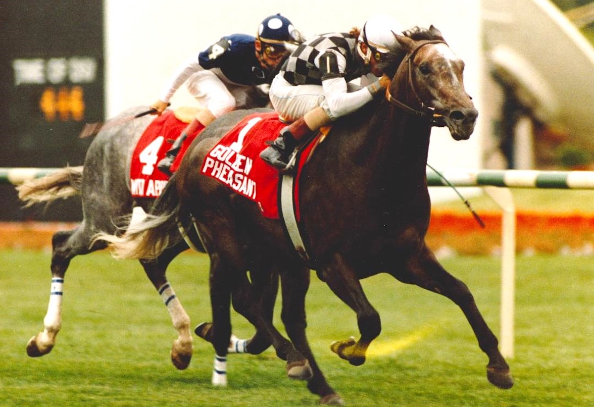 Golden Pheasant closes the deal in the 1990 Million to defeat Canadian champ With Approval. (Steve Stidham photo, courtesy of Hollywood Park, provided by Edward Kip Hannan & Roberta Weiser)