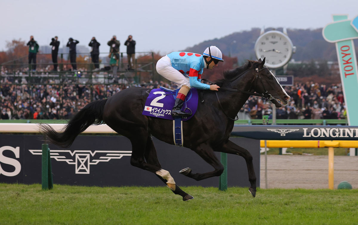 World leader: Equinox (Christophe Lemaire) strolls home unchallenged for his sixth consecutive G1 win in the Japan Cup. Photo: Japan Racing Association