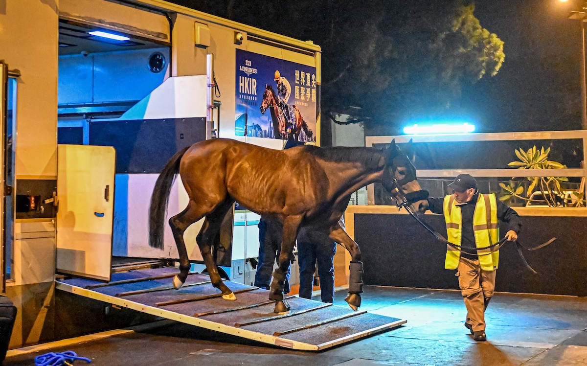 West Wind Blows arrives in Hong Kong after travelling from Australia. Photo: Hong Kong Jockey Club