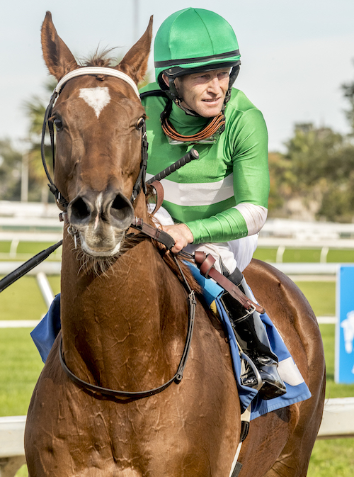 James Graham aboard Vortex, who provided his 3,000th career win. Photo: Hodges Photography / Fair Grounds