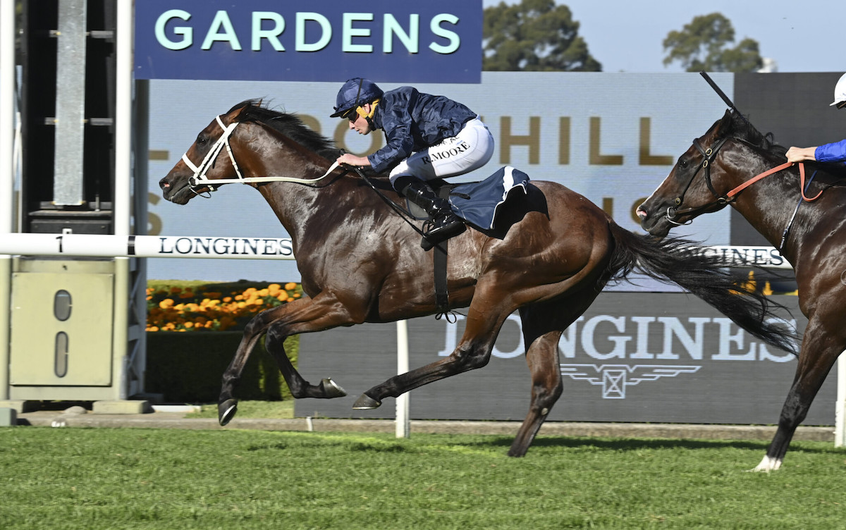 Shinzo wins the 2023 edition of the A$5m Golden Slipper at Rosehill Gardens. Photo: ATC