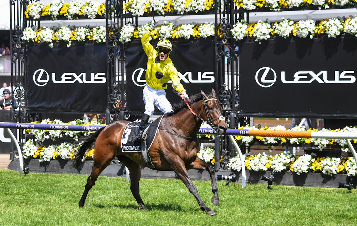 Victory salute: Mark Zahra stands up in the saddle as Without A Fight runs out an emphatic Melbourne Cup winner. Photo: VRC / Racing Photos