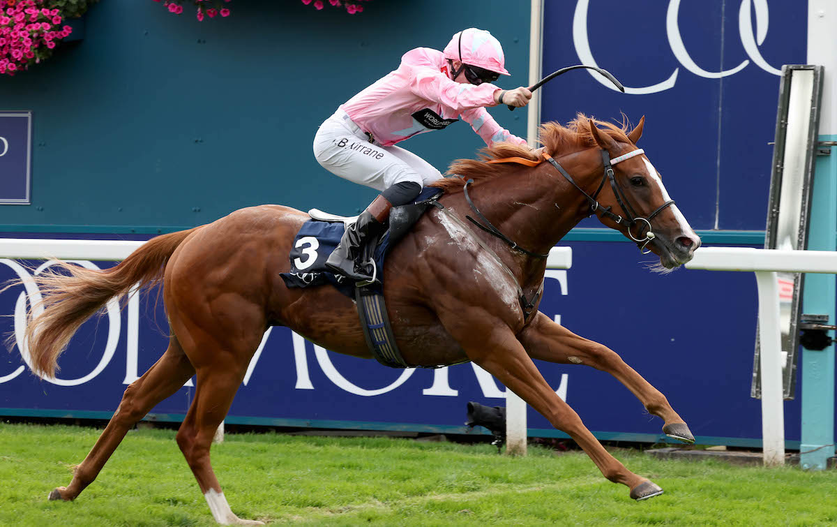 Career high: Sean Kirrane and Live In The Dream at York. Photo: Dan Abraham / focusonracing.com