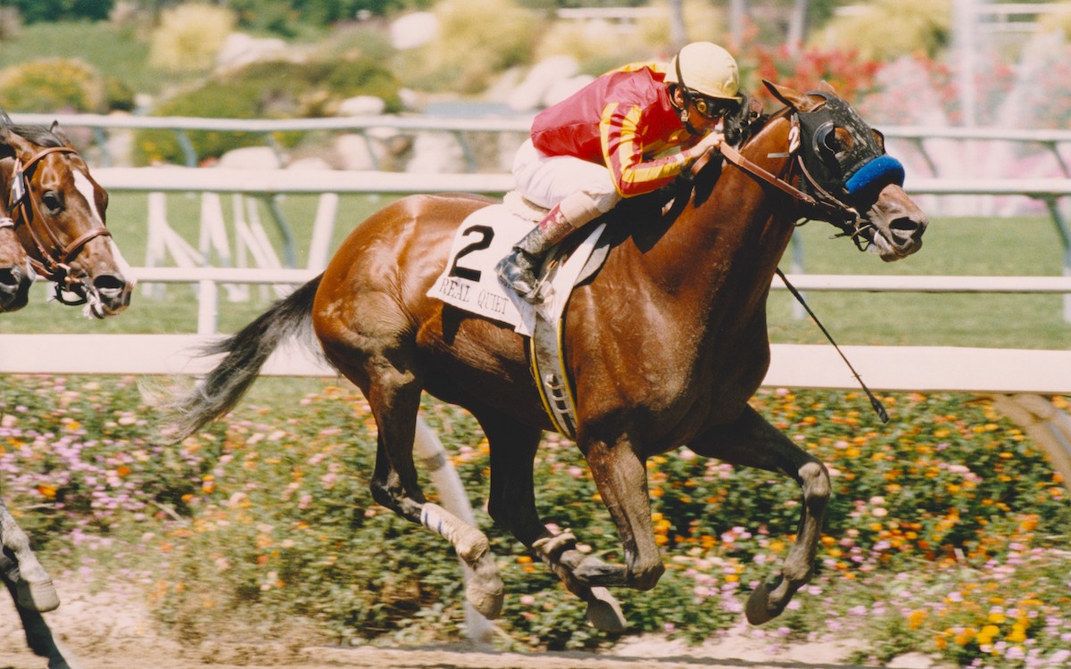 Real Quiet returned to Hollywood Park as a four-year-old to win the Hollywood Gold Cup. (Benoit photo)