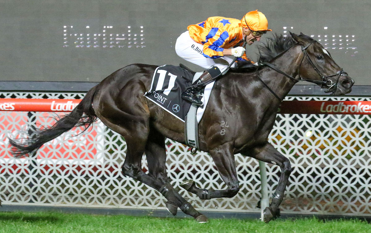 Sprint sensation: Imperatriz winning the G1 William Reid Stakes at Moonee Valley in March 2023. Photo: Bruno Cannatelli