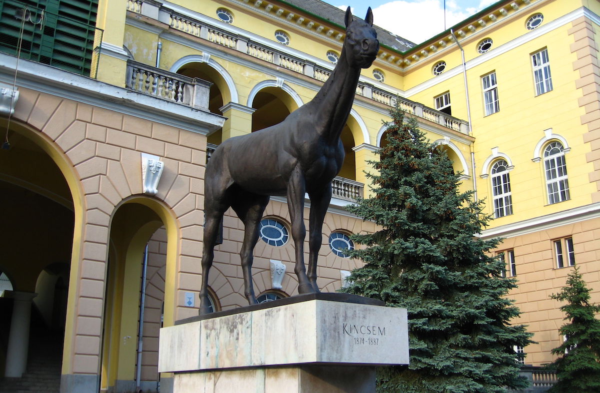 A statue of Kincsem greets visitors to Kincsem Park in Budapest. Photo: Wikipedia Commons