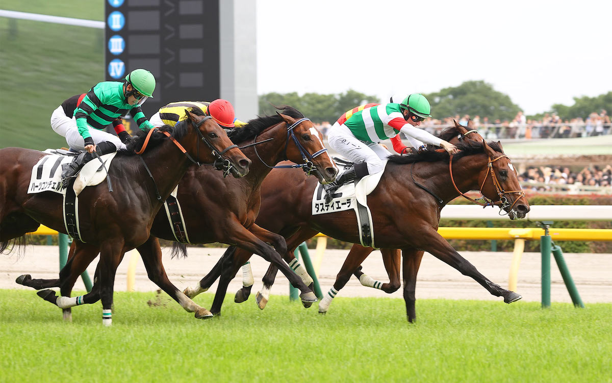 Derby hero: Tastiera wins the Tokyo Yushun. Photo: JRA