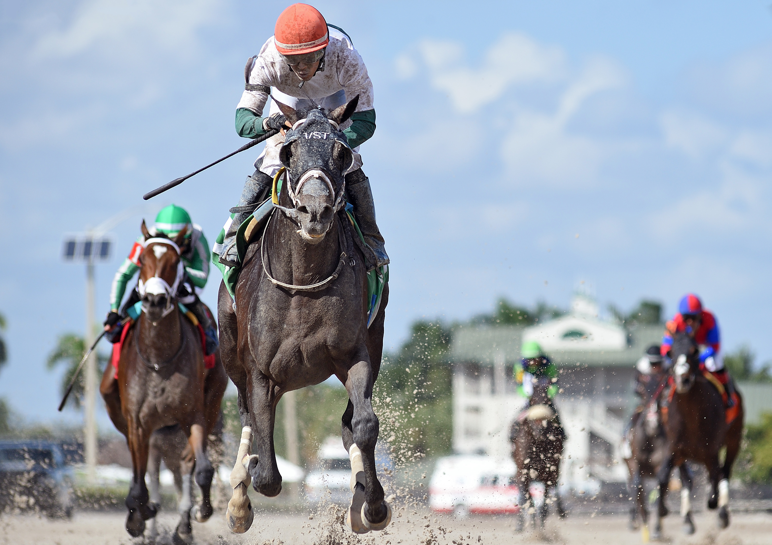 O'Connor: bidding for place in Pegasus World Cup. Photo: Ryan Thompson