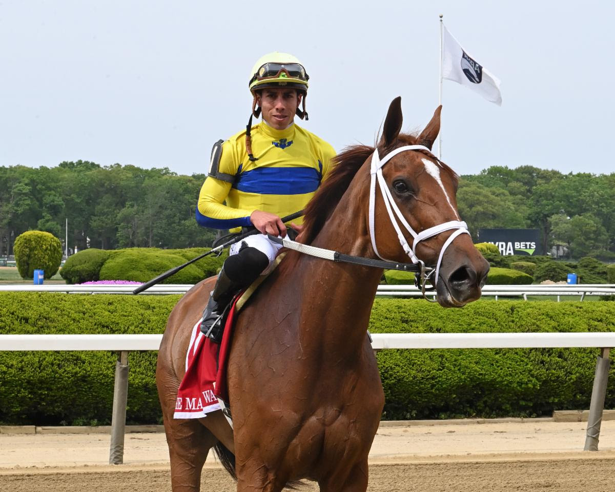 Red Knight: veteran turfer won Man o' War Stakes in 2023. Photo: NYRA / Susie Raisher