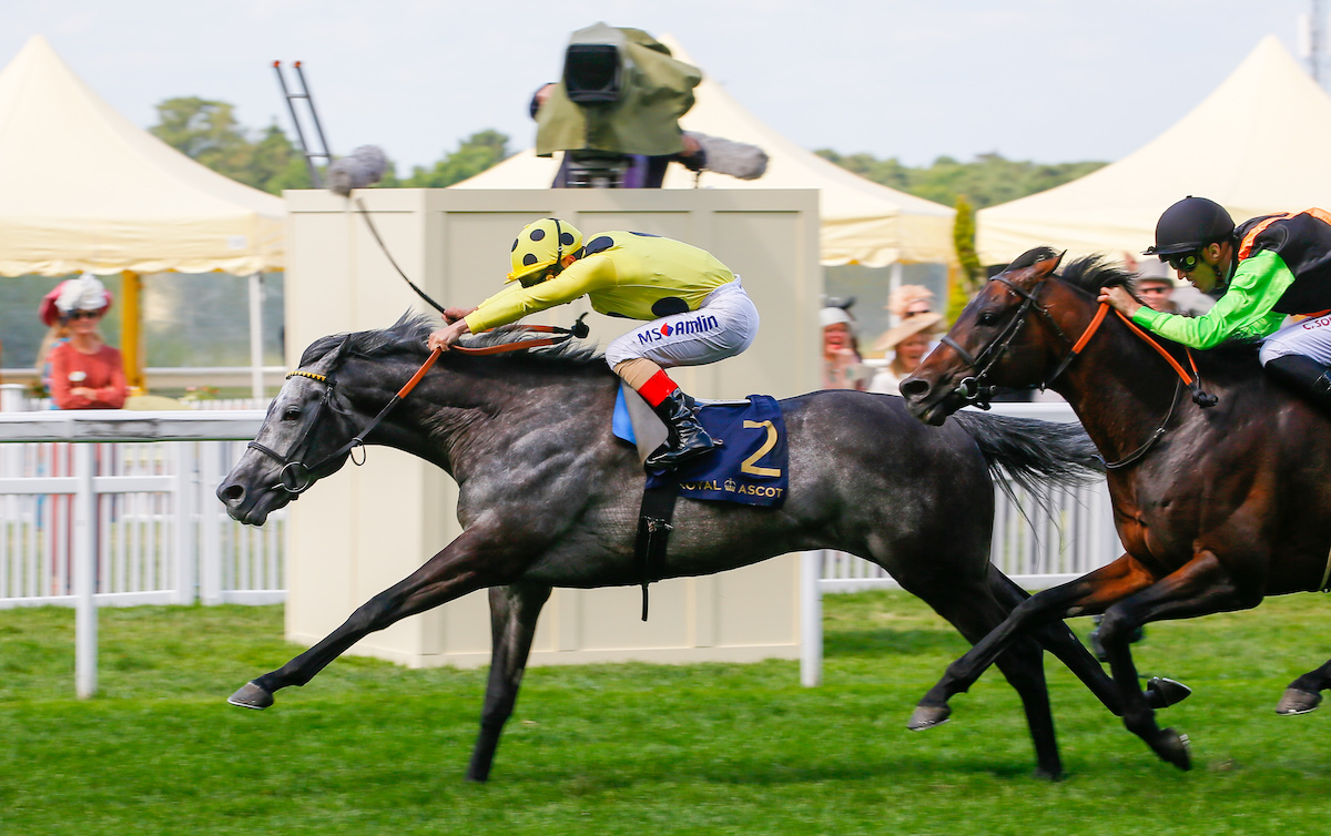 Favourite horse: Defoe (Andrea Atzeni) wins the Hardwicke Stakes at Royal Ascot in 2019. Photo: Mark Cranham / focusonracing.com