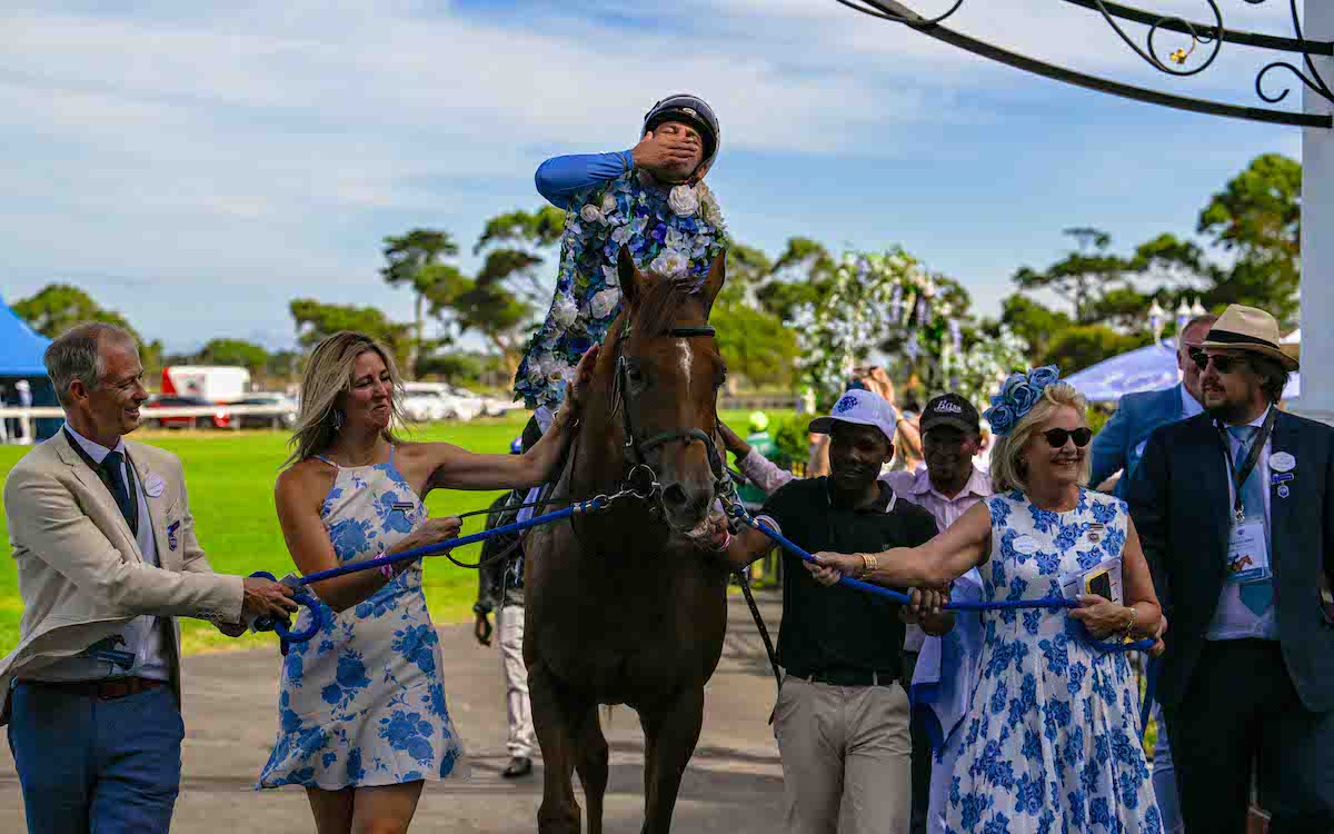 Charles Dickens (Aldo Domeyer): third G1 success in King's Plate at Kenilworth. Photo: Chase Liebenberg