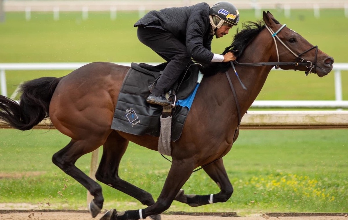 Gallops rider Jared Balthazar in full breeze mode. Photo: Ken Snyder