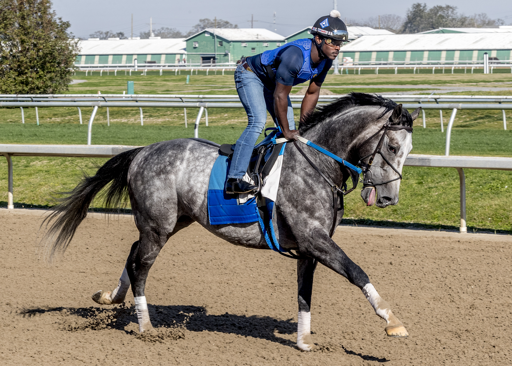 Roberto Howell is an exercise rider at Fair Grounds in New Orleans. Photo: Ken Snyder