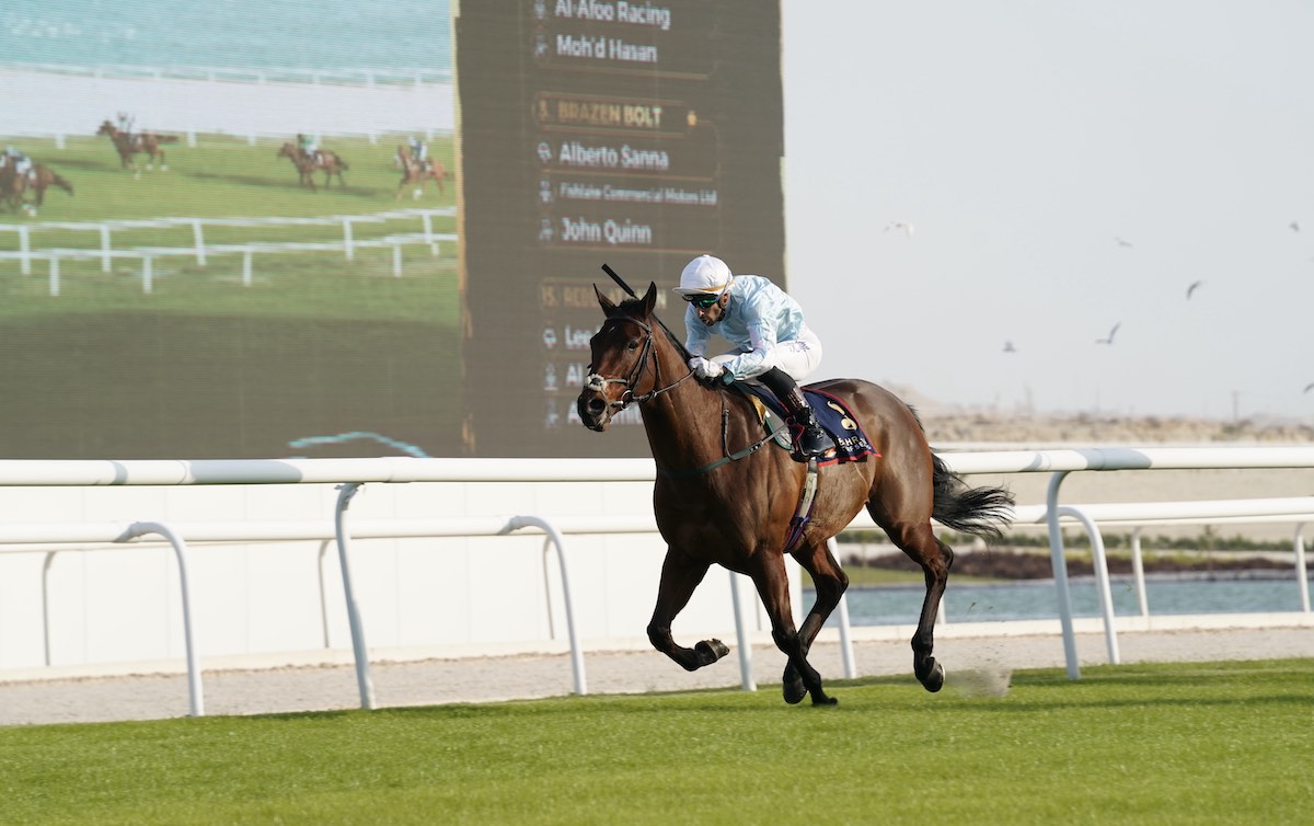 Brazen Bolt (Alberto Sanna) wins round 3 of the sprint division in the 2023-24 Bahrain Turf Series. Photo: Bahrain Turf Club