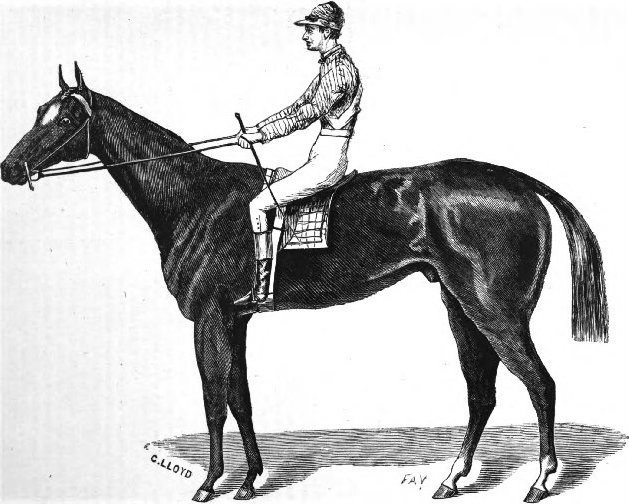 Aristides: etching by C. Lloyd first published as a plate in the 1877 book Famous Horses of America. Image: Public Domain