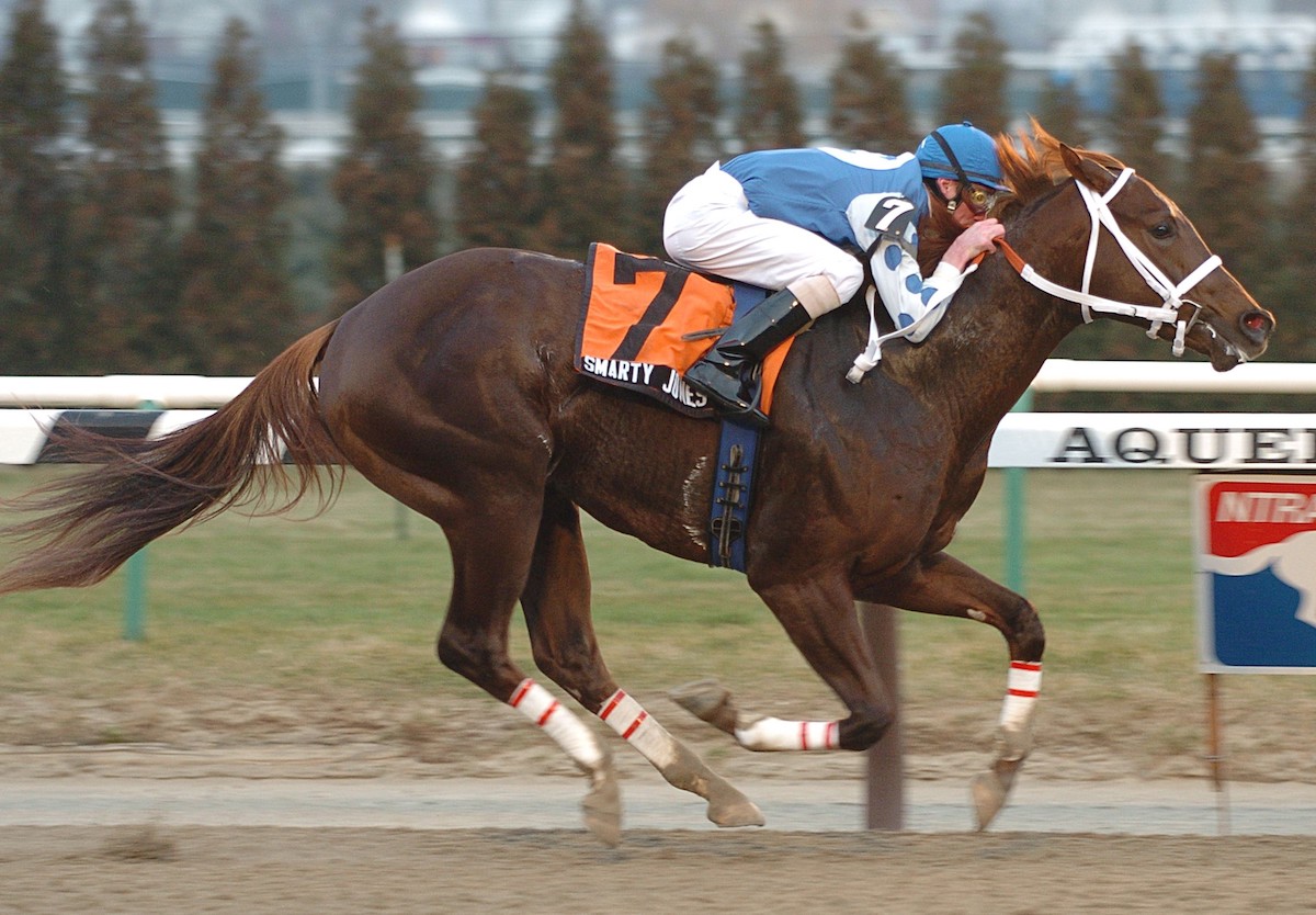 Smarty Jones breaks his Pennsylvania cover to win the 2004 Count Fleet at Aqueduct. Photo: Coglianese