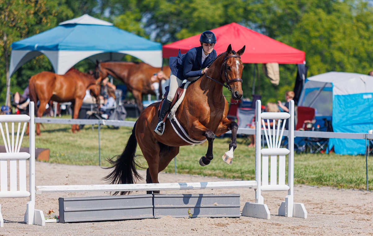 Katie Larson in show jumping action: ‘If I was in another line of work, I would still do this for the rest of my life,’ she says. Photo: Woodbine Entertainment
