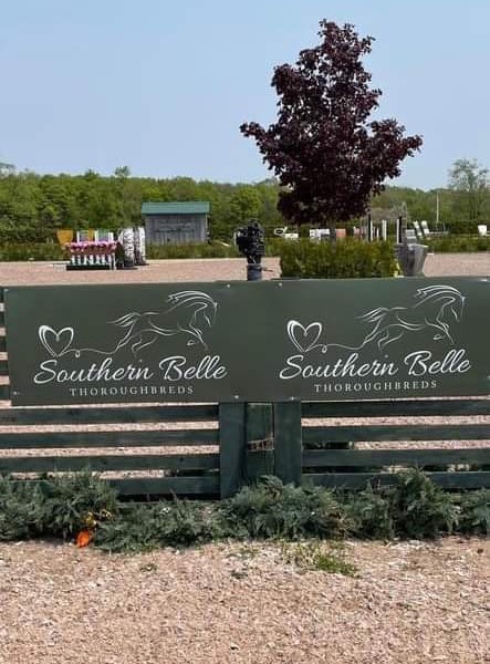 Success stories: Southern Belle Thoroughbreds. Photo: Woodbine Entertainment