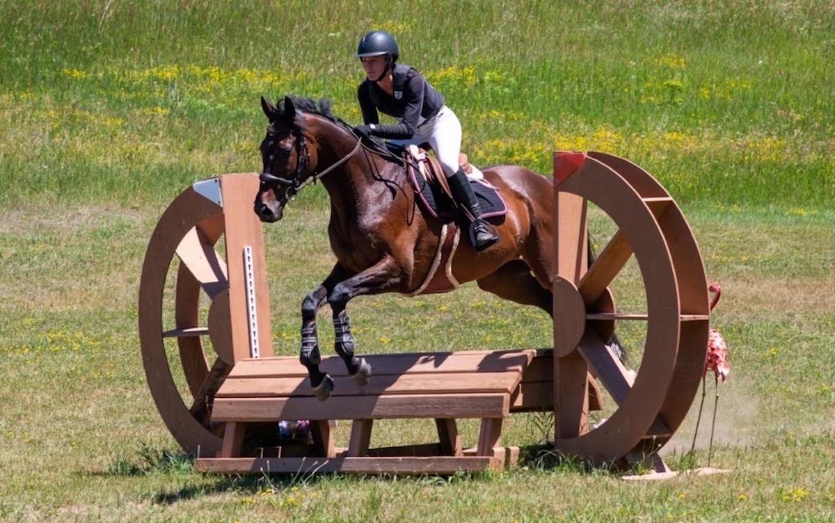 From the Woodbine backstretch to the show jumping arena: Holly Simkins and stakes winner Strut N Stomp: Photo: Jon Tebrugge