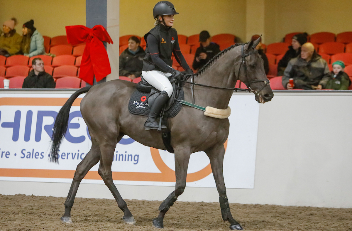 Jamie Buckley on board Woodlands Opera during the Parade of Champions. Photo supplied