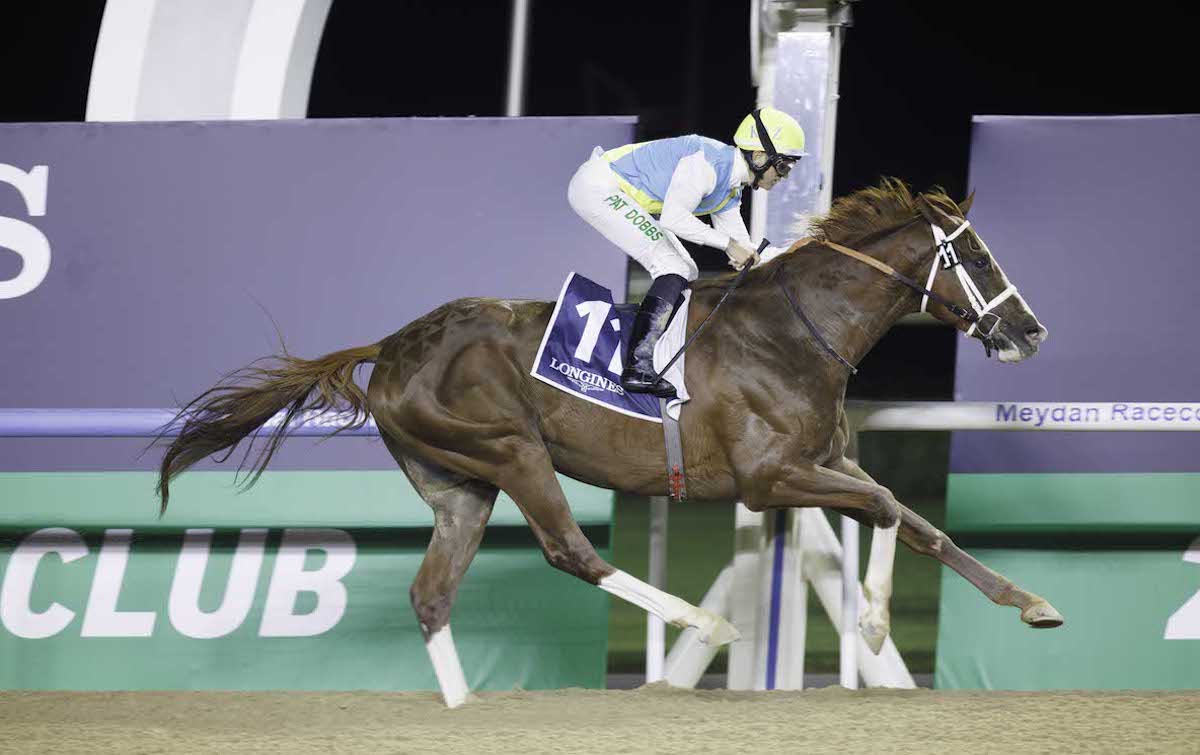Kabirkhan strolls to victory under Pat Dobbs in last month’s Al Maktoum Challenge. Photo: Dubai Racing Club