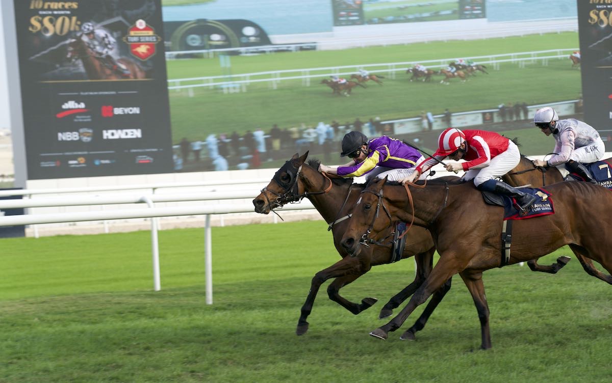Bahrain bounty: Lucander (Pat Cosgrave, far side) holds off Isle Of Jura to win the Al Dana Cup at REHC in December. Photo: Bahrain Turf Club