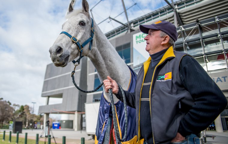 Aussie icon: the late Melbourne Cup winner Subzero (pictured with owner Graham Salisbury) became a national celebrity as an equine ambassador. Photo: Sharon Lee Chapman/Fast Track Photography