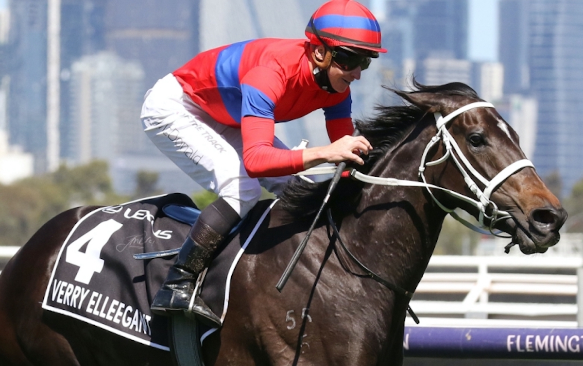 Verry Elleegant (James McDonald) wins the Melbourne Cup. Photo: NZ Racing News/Bruno Cannatelli