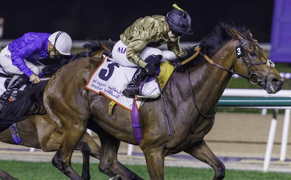 History maker: Saffie Osborne drives home Ouzo in a Meydan handicap. Photo: Dubai Racing Club