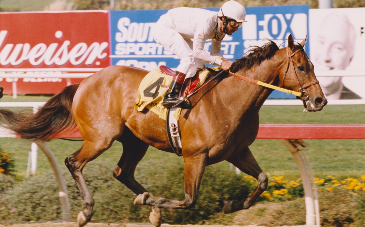 Eight years old was not enough to stop Kona Gold from winning the 2002 Los Angeles Handicap. Photo: Benoit