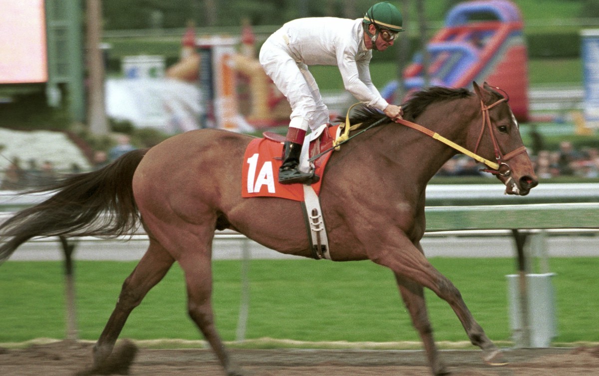 The seven furlongs of the 2001 San Carlos were no problem for a horse bred like Kona Gold. Photo: Benoit