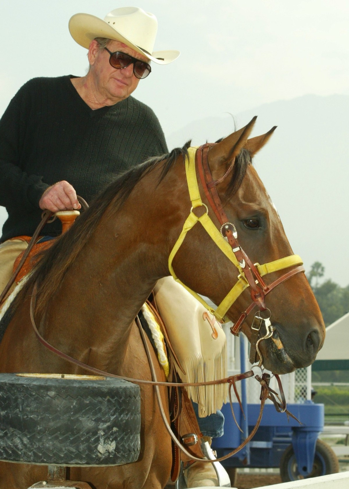 The champ strikes a pose as Headley's stable pony. Photo: Benoit