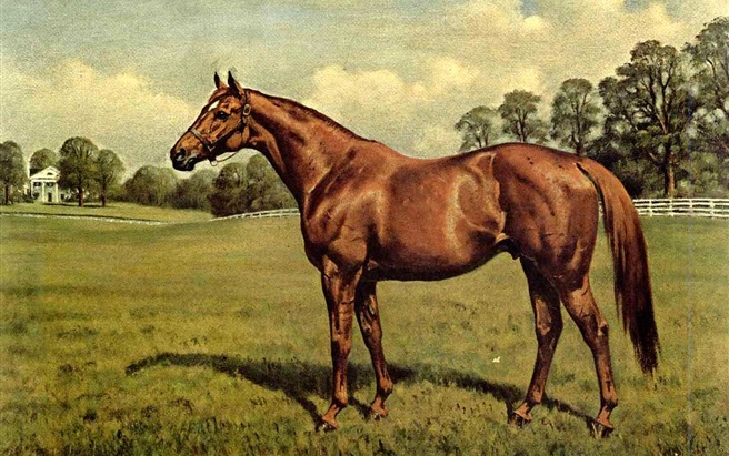 Jet Pilot: portrait of the 1947 Kentucky Derby winner by Franklin Brook Voss