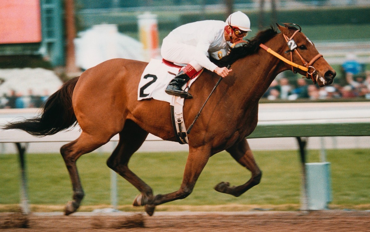 Kona Gold kicks off his championship season by winning the Palos Verdes at Santa Anita. Photo: Benoit