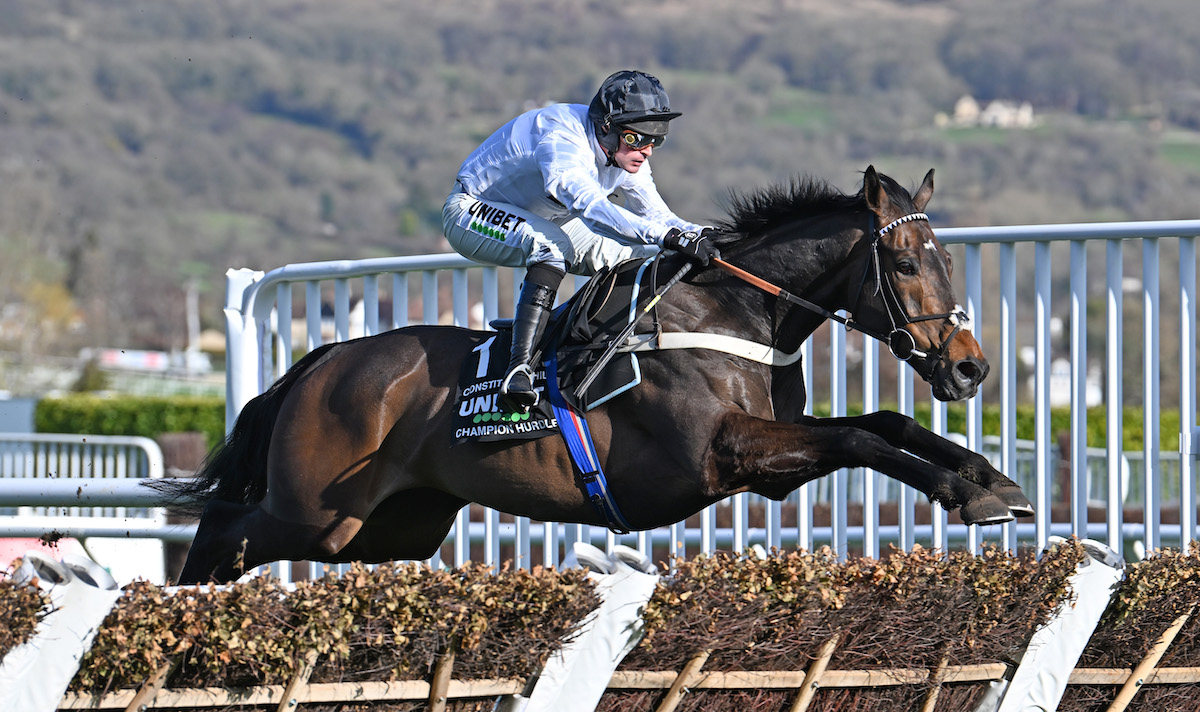 In full flight: superstar jumper Constitution Hill on the way to Champion Hurdle glory in 2023. Photo: Dan Abraham/focusonracing.com