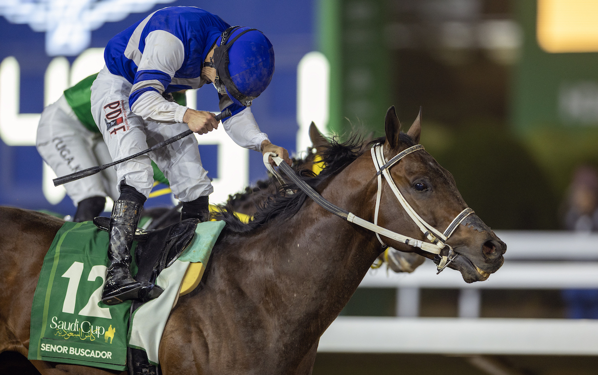 Perfect timing: Senor Buscador and Junior Alvarado win the Saudi Cup. Photo: Jockey Club of Saudi Arabia / Neville Hopwood