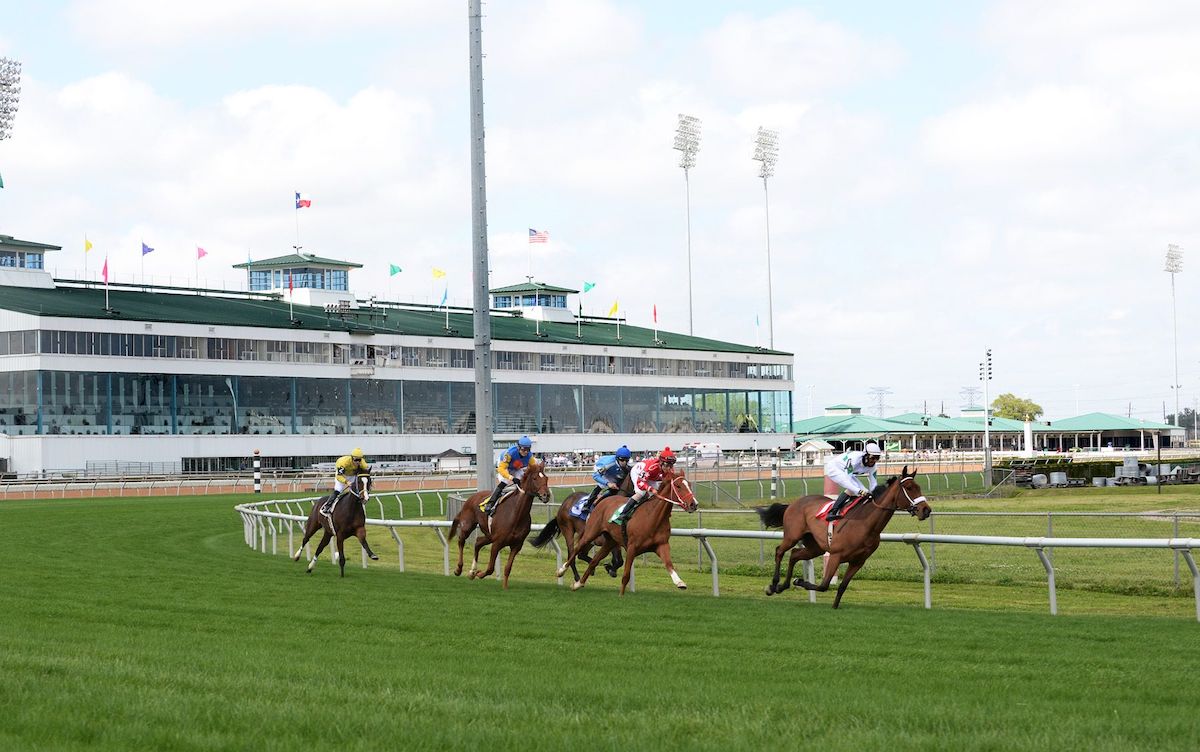 At the Clubhouse Turn: racing in Texas on a quiet day at Sam Houston. Photo: Coady Photography